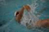 imgp2484_small.jpg