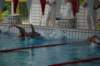 imgp2488_small.jpg