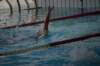 imgp2490_small.jpg