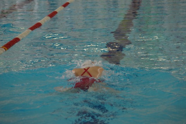 imgp2548.jpg