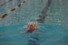 imgp2548_small.jpg