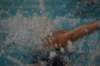 imgp2574_small.jpg
