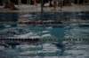 imgp2595_small.jpg