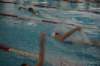 imgp2598_small.jpg