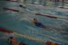 imgp2599_small.jpg