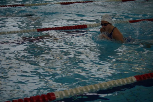 imgp2600.jpg