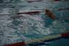 imgp2600_small.jpg