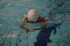 imgp2604_small.jpg