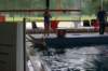 imgp2677_small.jpg