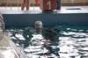 imgp2678_small.jpg