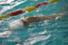imgp2687_small.jpg