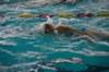 imgp2690_small.jpg