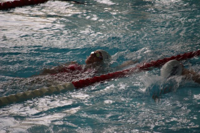 imgp1504.jpg