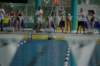 imgp1521_small.jpg