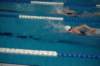 imgp1527_small.jpg