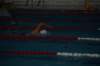 imgp1532_small.jpg