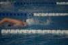 imgp1547_small.jpg