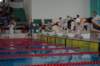 imgp1594_small.jpg