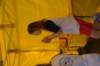 imgp1427_small.jpg