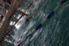 imgp1445_small.jpg