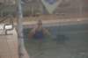 imgp2376_small.jpg