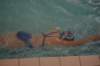 imgp2378_small.jpg