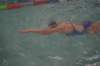 imgp2379_small.jpg
