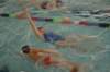 imgp2385_small.jpg