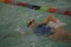 imgp2386_small.jpg