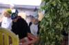 imgp2396_small.jpg