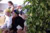 imgp2398_small.jpg