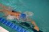 imgp2404_small.jpg