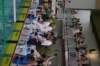 imgp2408_small.jpg