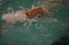 imgp2414_small.jpg