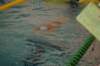 imgp2417_small.jpg