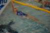 imgp2425_small.jpg