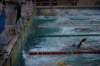 imgp2428_small.jpg