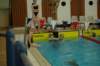 imgp4966_small.jpg
