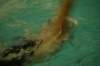 imgp4970_small.jpg