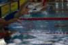 imgp5009_small.jpg