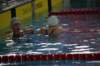 imgp5011_small.jpg