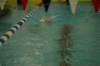 imgp5046_small.jpg