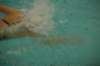 imgp5069_small.jpg