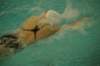 imgp5070_small.jpg