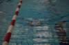 imgp4769_small.jpg