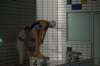 imgp4771_small.jpg