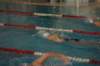 imgp4774_small.jpg