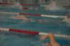imgp4775_small.jpg