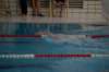 imgp4793_small.jpg