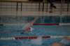 imgp4794_small.jpg